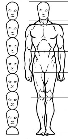 How to draw the human figure - Drawing Male Proportions