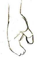 figure drawing instruction